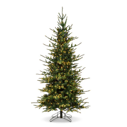 C* 12' Rocky Mountain Spruce with Brilliant LED Lights