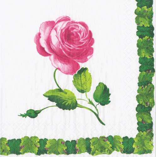 Cocktail Napkin - Image 7