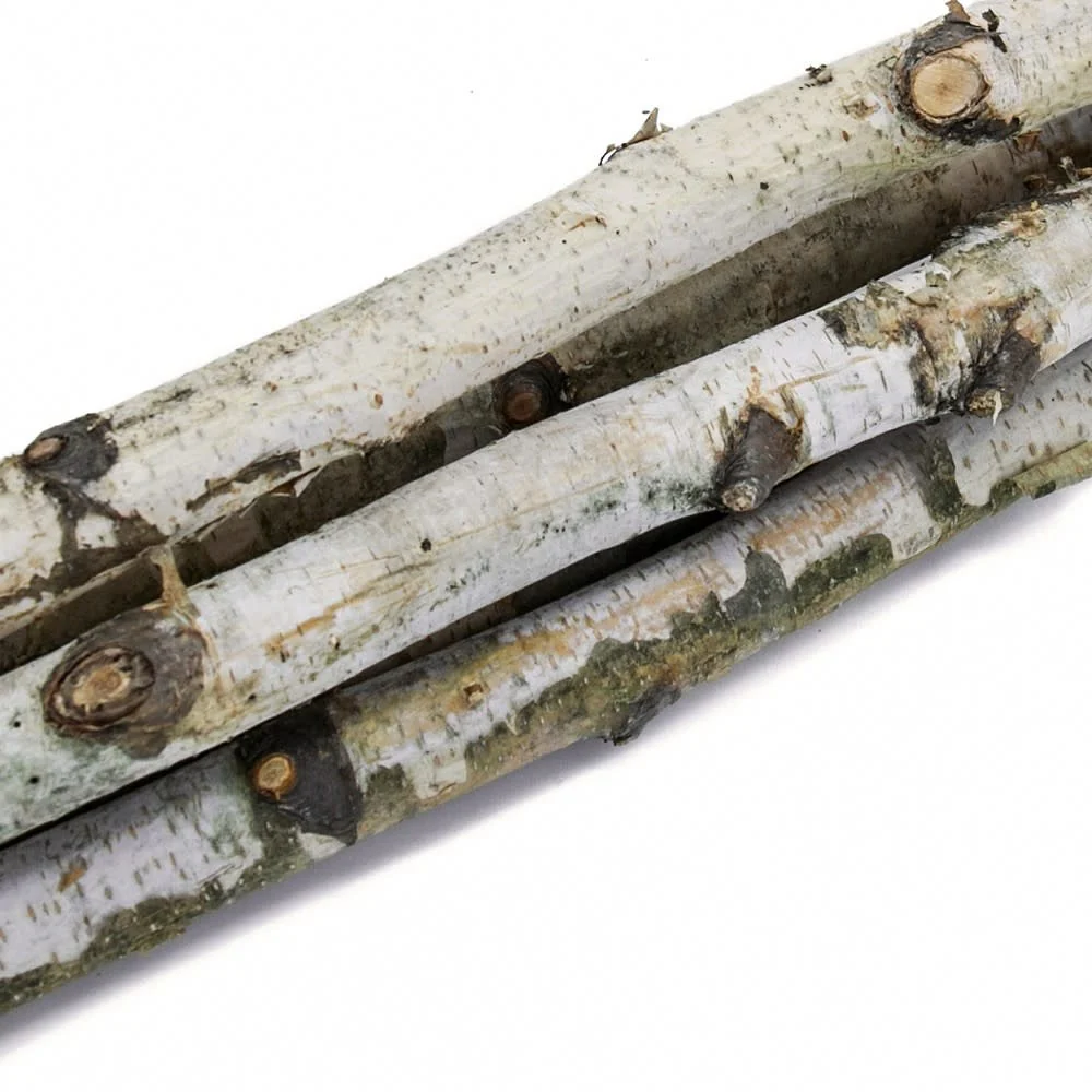 D1'' H 31.5'' Birch Wood Vase Filler - Image 3