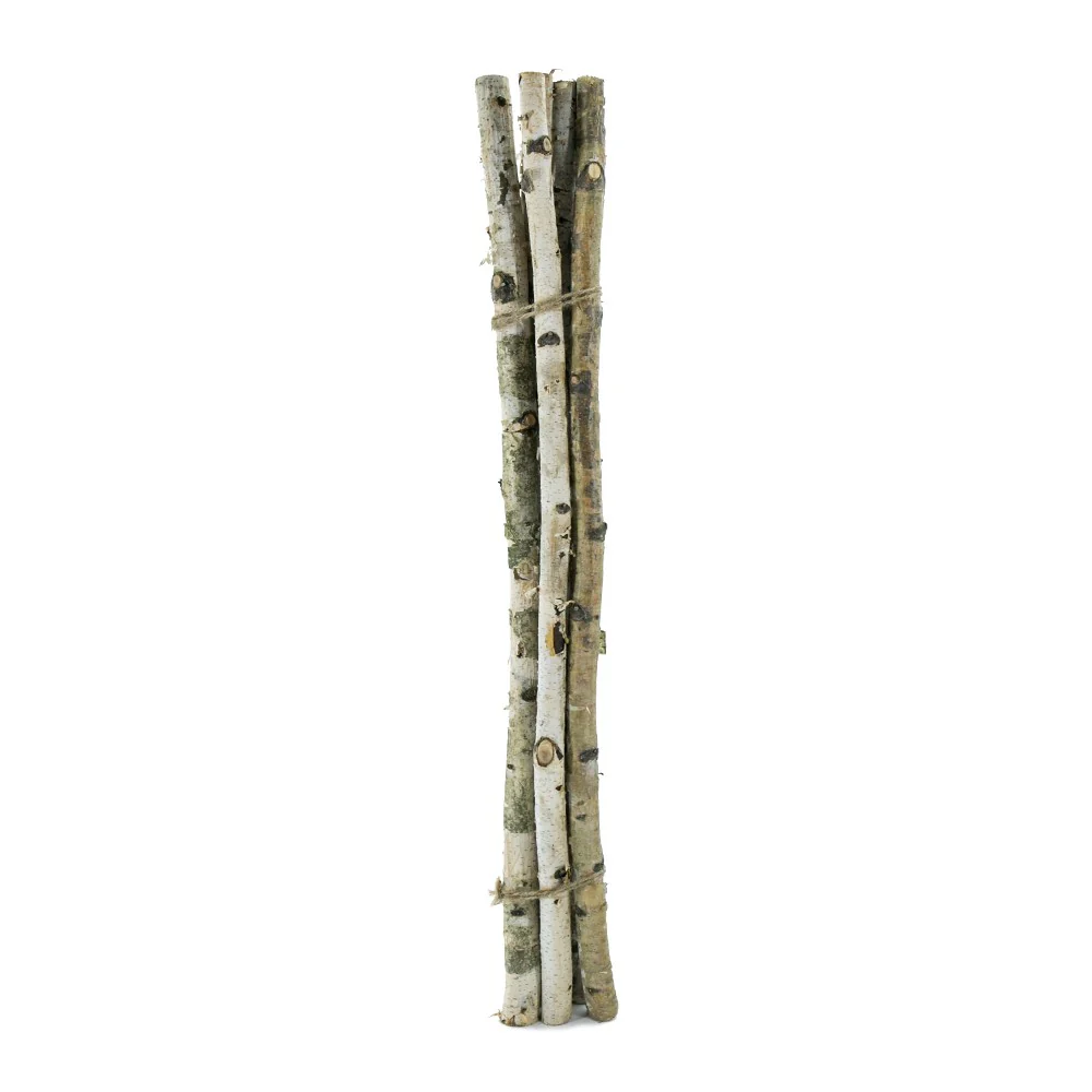 D1'' H 31.5'' Birch Wood Vase Filler - Image 4
