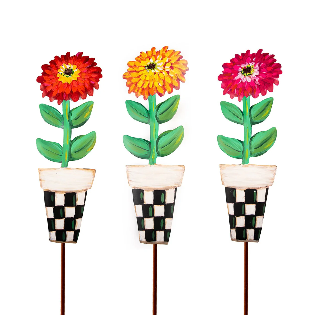 Elegant Zinnia Pots