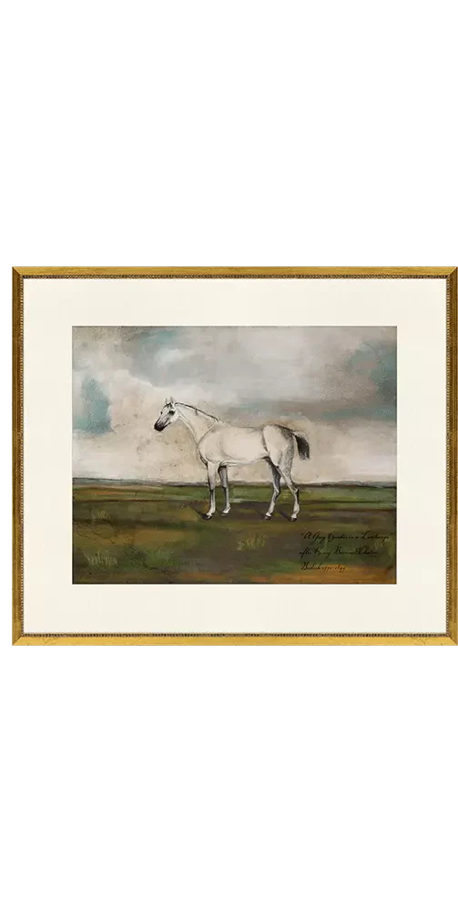Equestrian I - Image 5