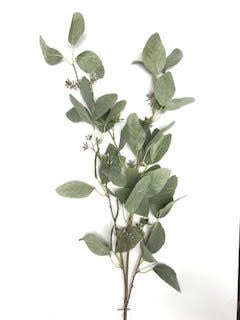 EUCALYPTUS SEEDED SPRAY 45"