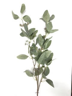 EUCALYPTUS SEEDED SPRAY 45" - Image 2