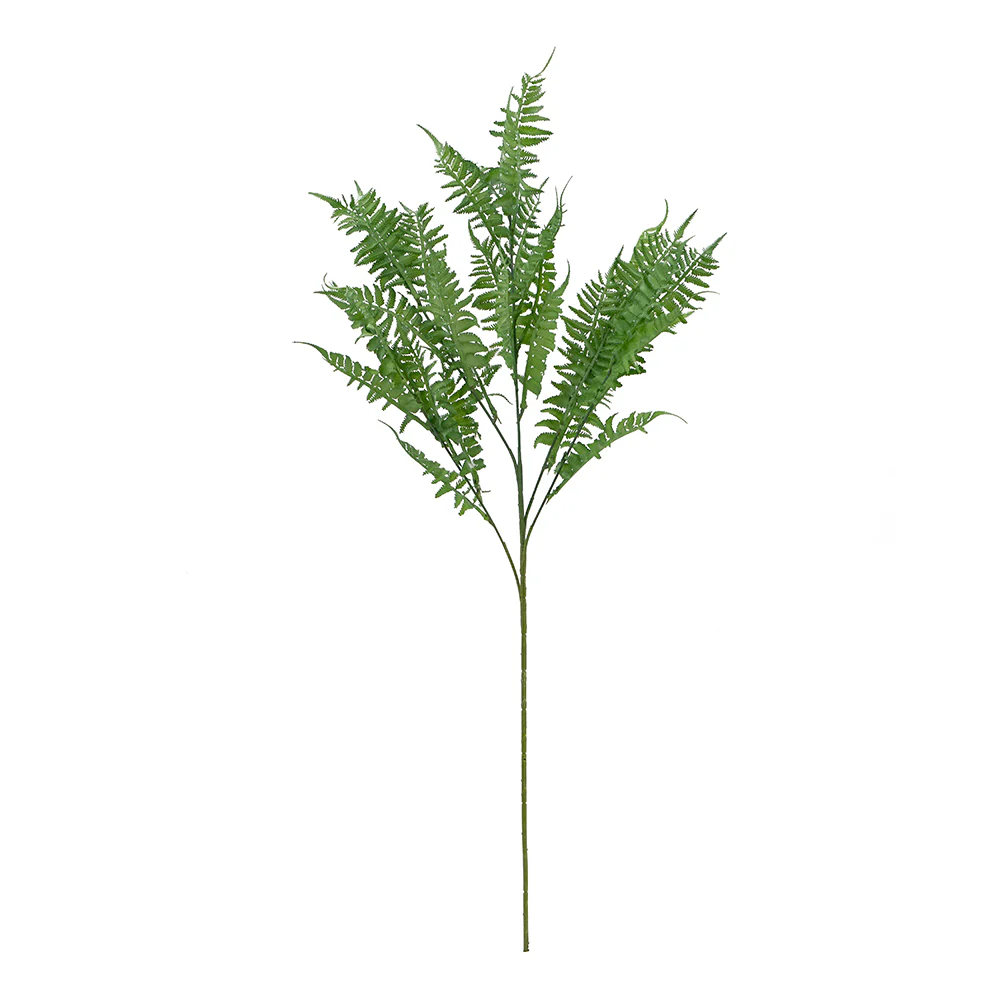 Fern Spray