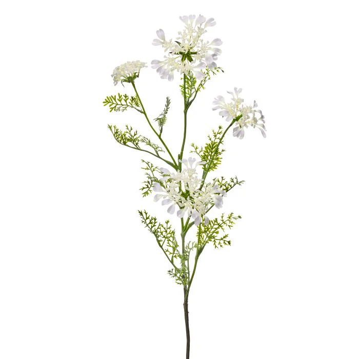 Field Yarrow Stem X 4 38”