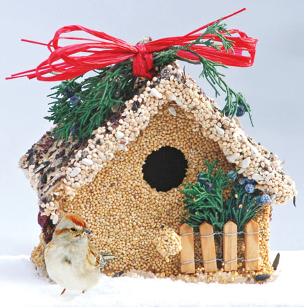 Holiday Birdie Cottage Treat - Image 4