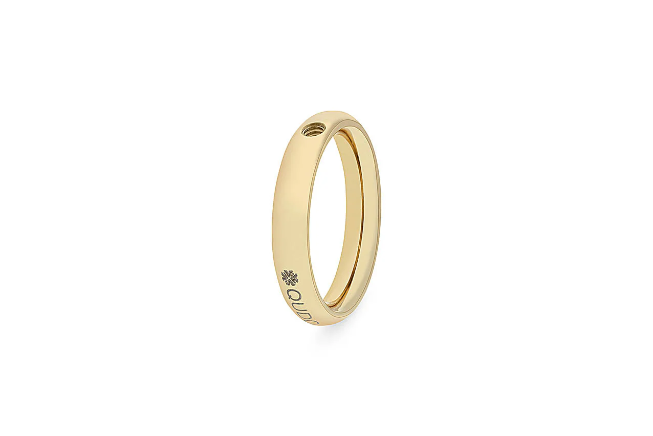 Interchangeable Basic Ring Small - Image 11