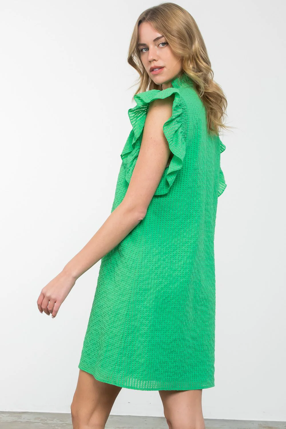 Isabella Ruffle Sleeve Texture Dress - Image 2