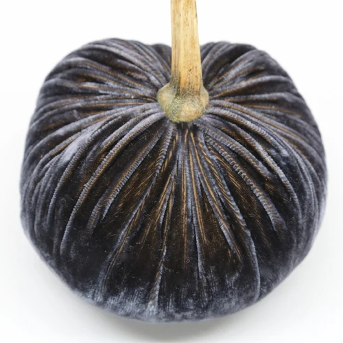 Jumbo Junior Velvet Pumpkin - Image 7