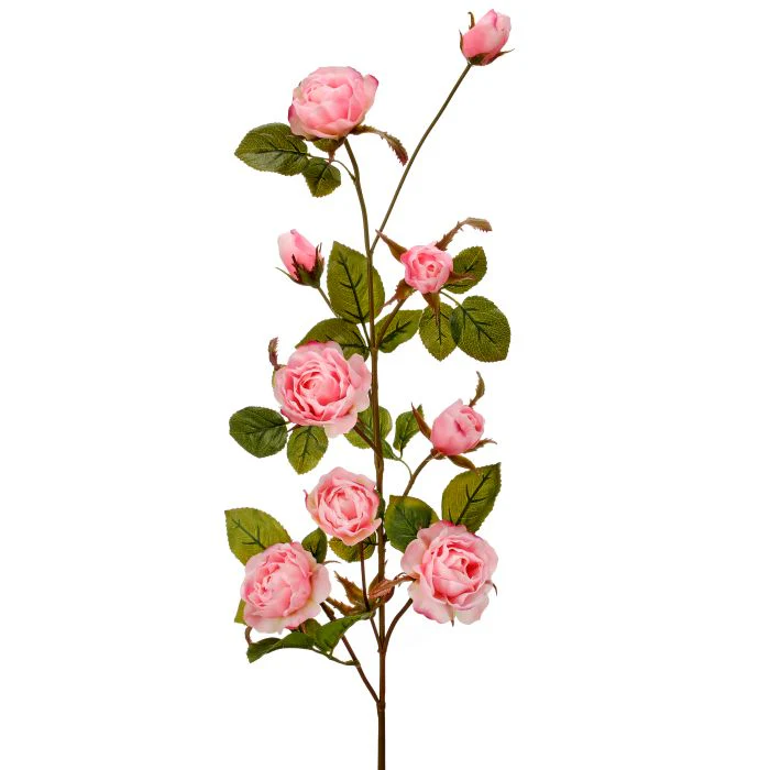 Just Cut Garden Rose Branch 37” - Image 4