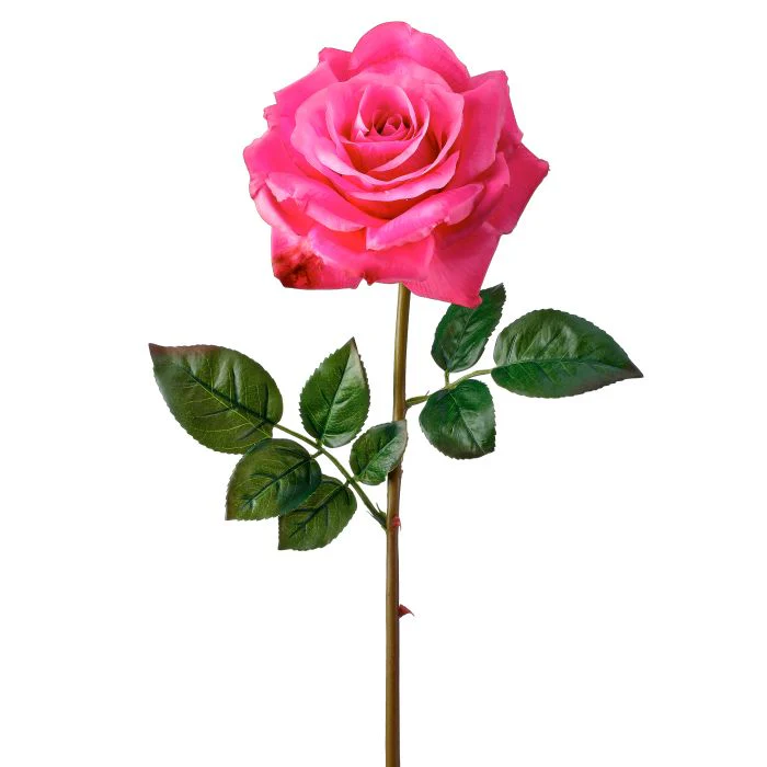 Just Cut Open Garden Rose 27” - Image 2