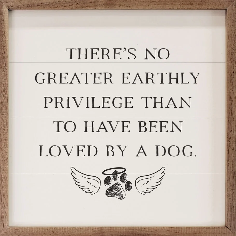 Loved By A Dog White