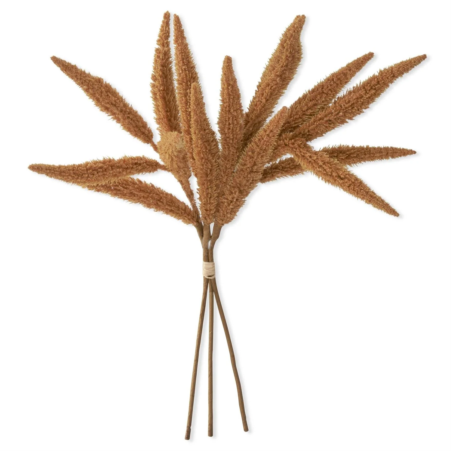Millet Bundle 3 Stems