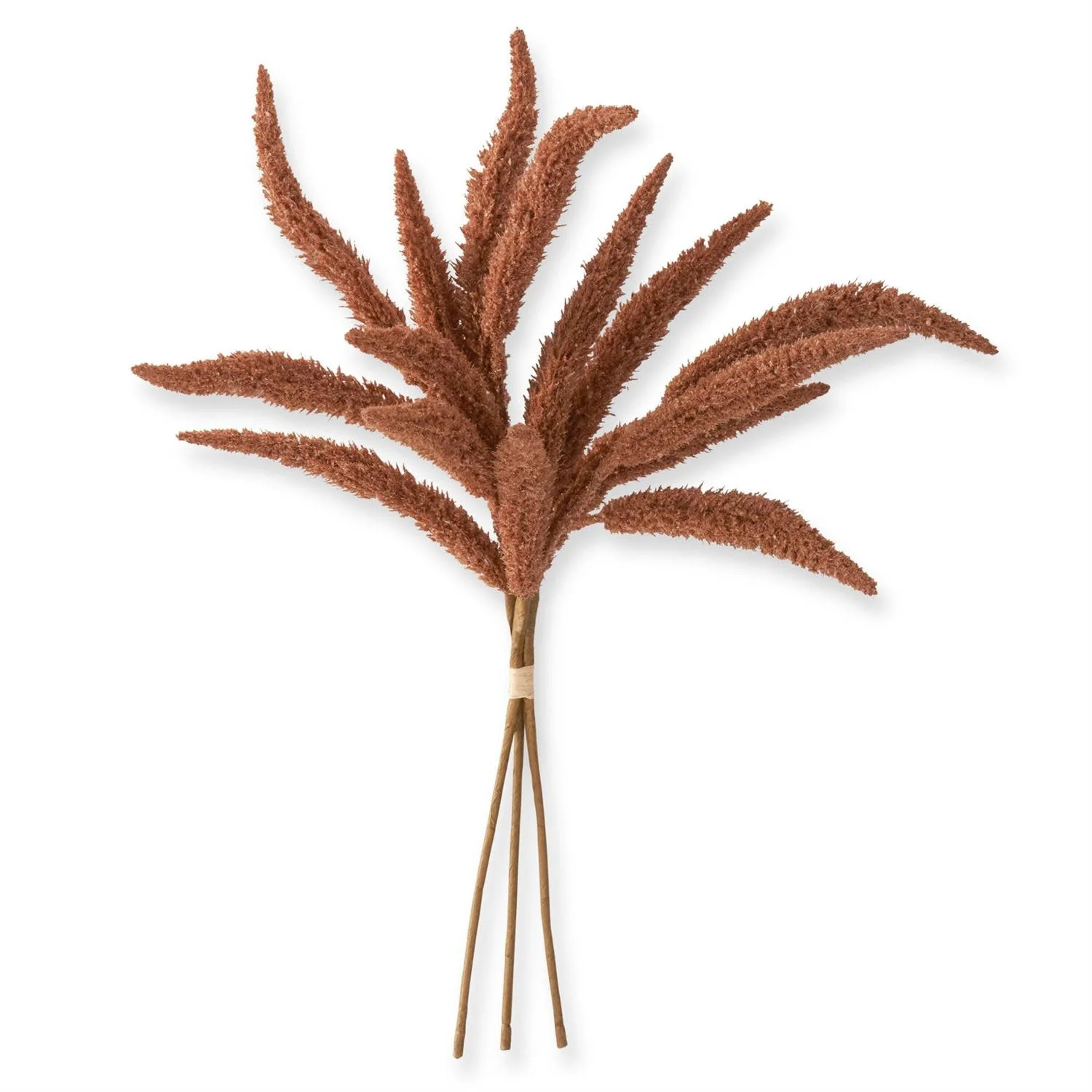 Millet Bundle 3 Stems - Image 4