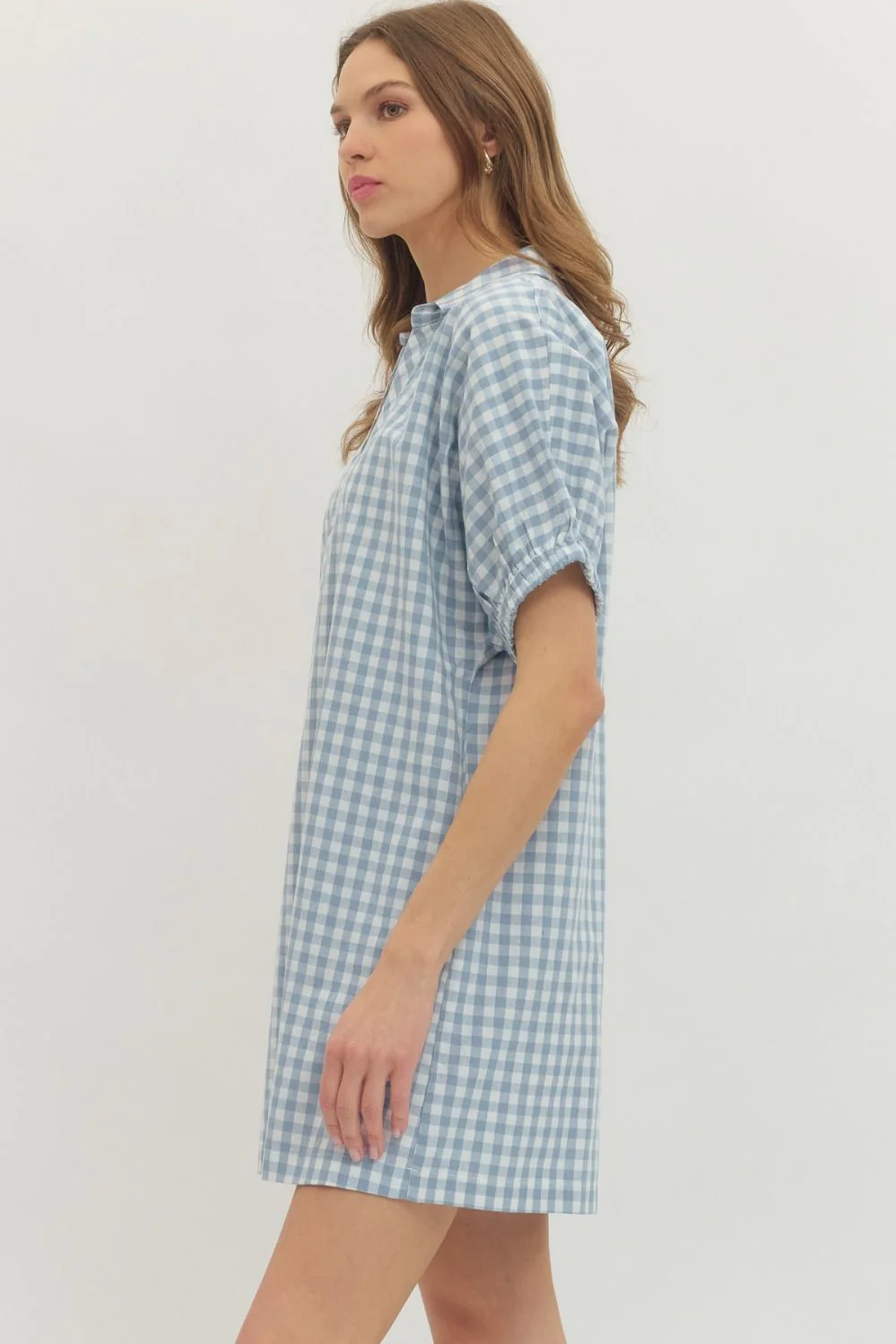 Naomi Gingham Short Sleeve Mini Dress - Image 5