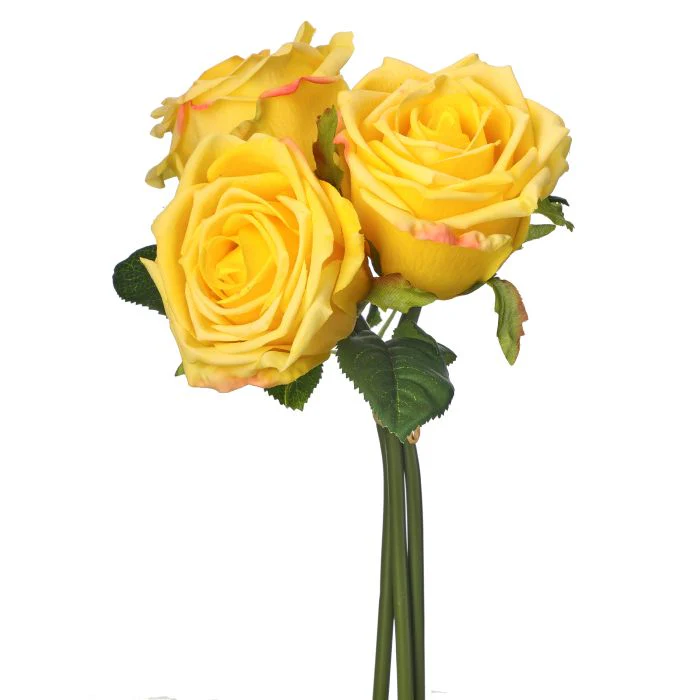 Nat Touch Rose Bundle X3 11.5”