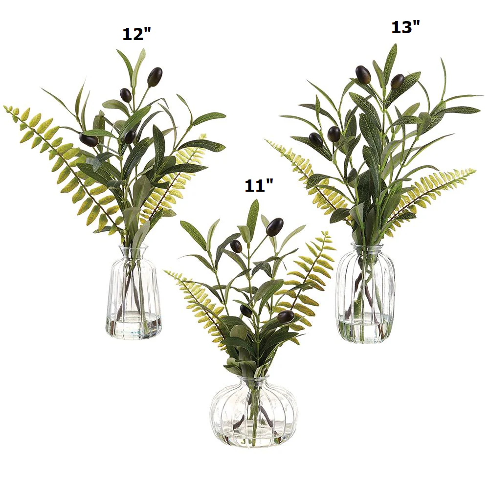 Olive/Fern in Glass Vase Green - Sold Individually