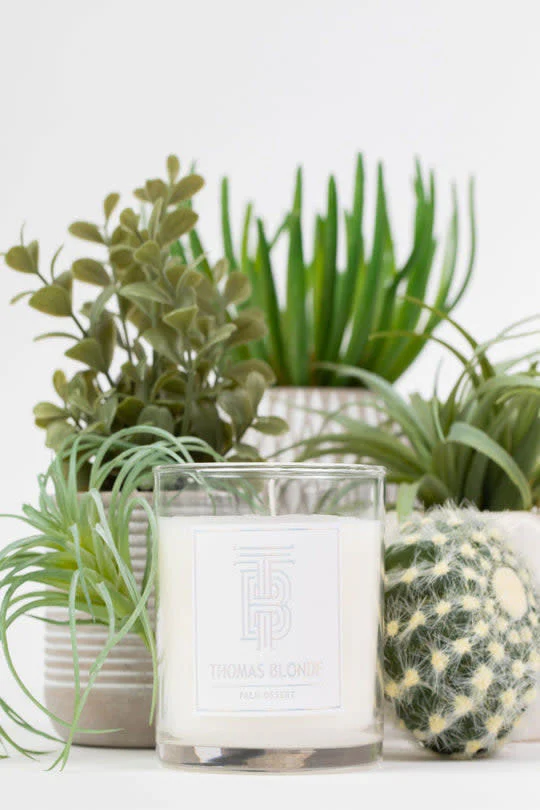 Palm Desert Candle