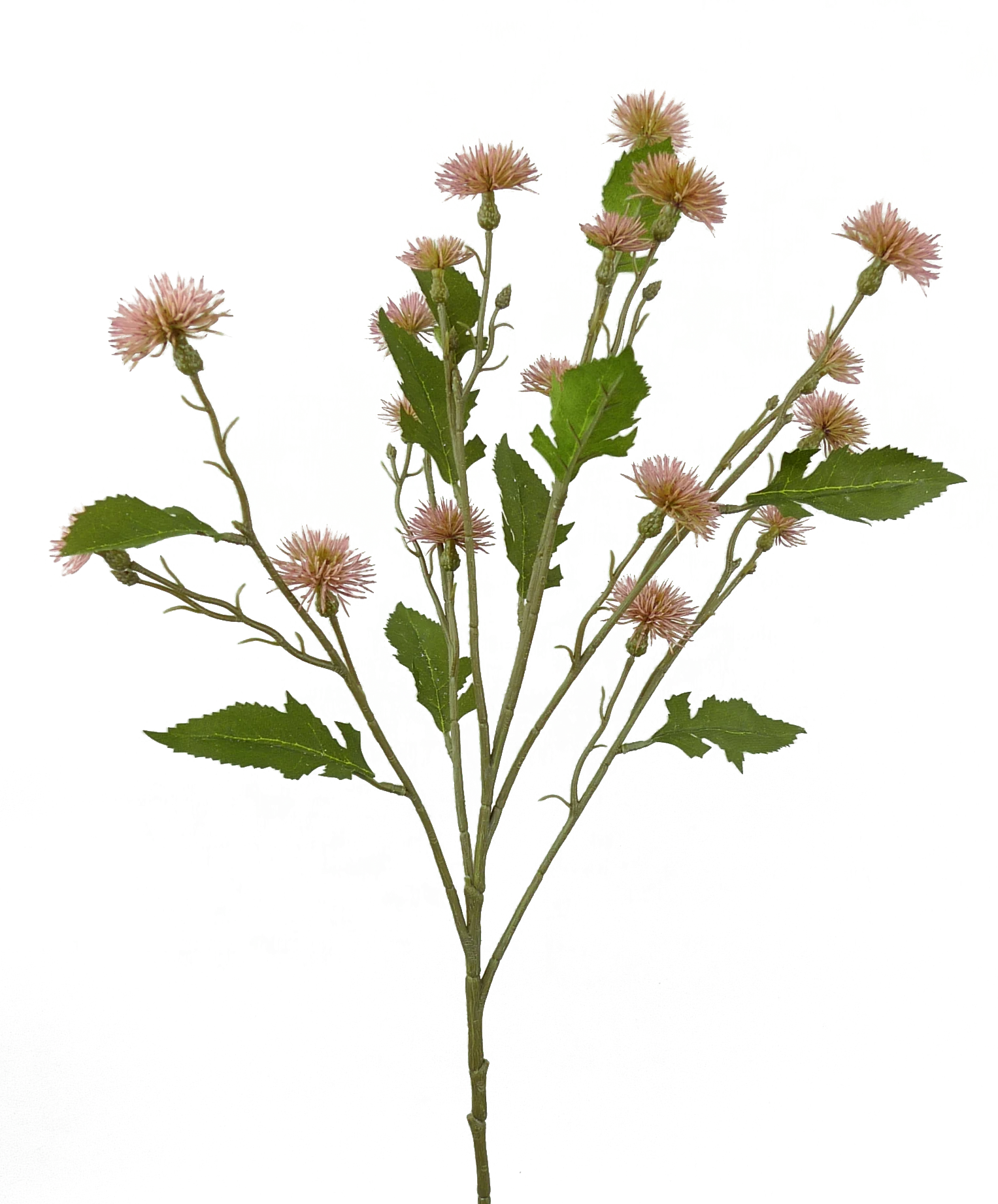 Plastic Sweet Daisy Spray
