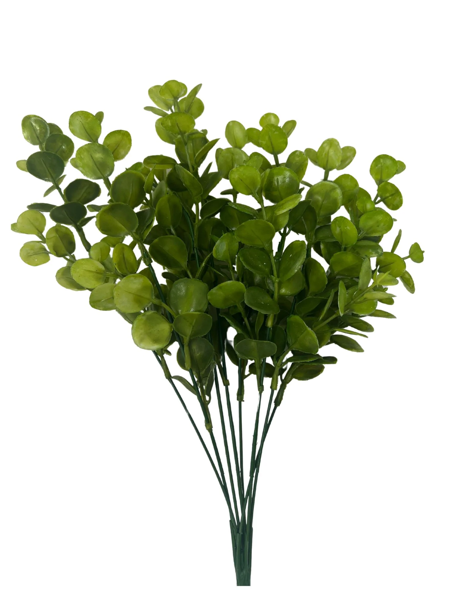 PLS Eucalyptus Bush X8 Green 12DZ