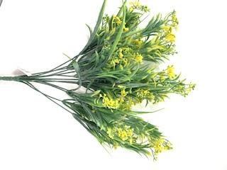 PLS Mini FLS Bush X13 Yellow 12DZ