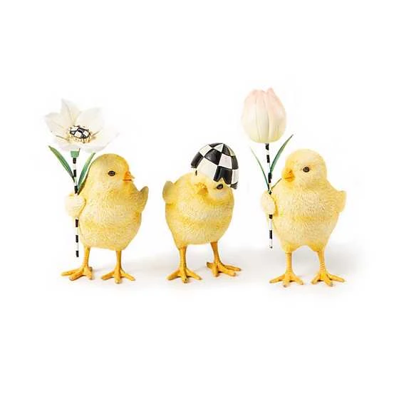 Rose Garden Chick - Sold Individually