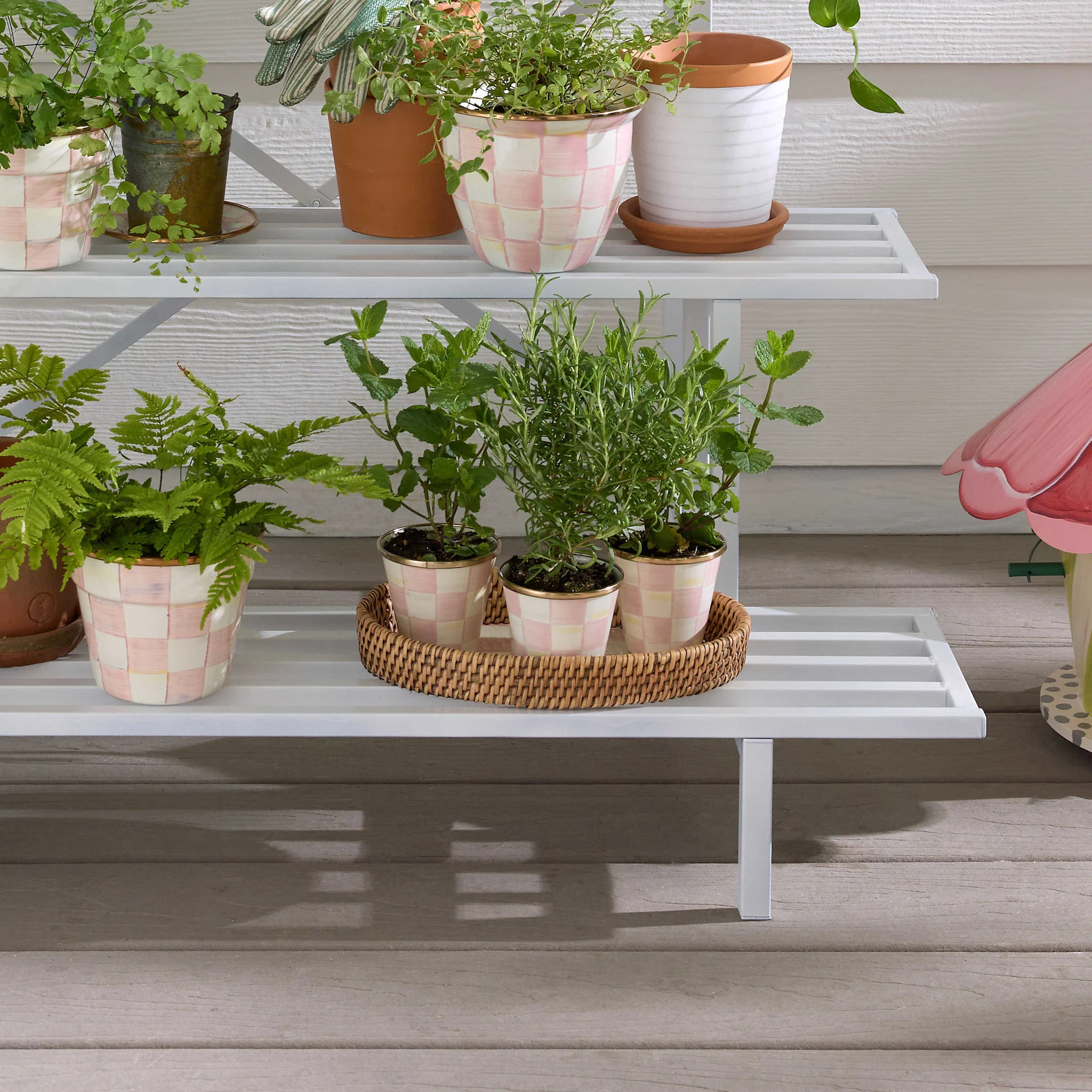 Rosy Check Herb Pot  - Sold Individually - Image 6
