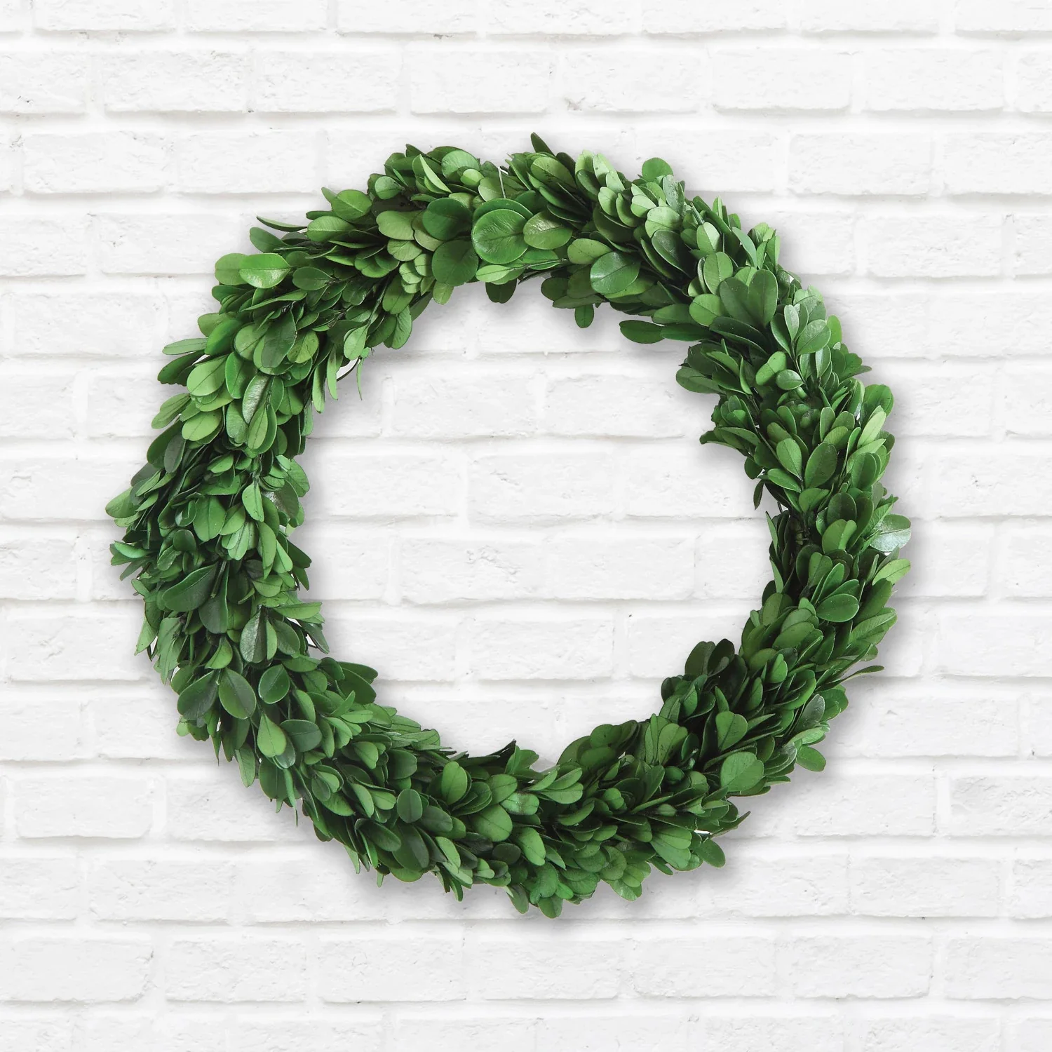 Round Preserved Boxwood Wreath - Image 5