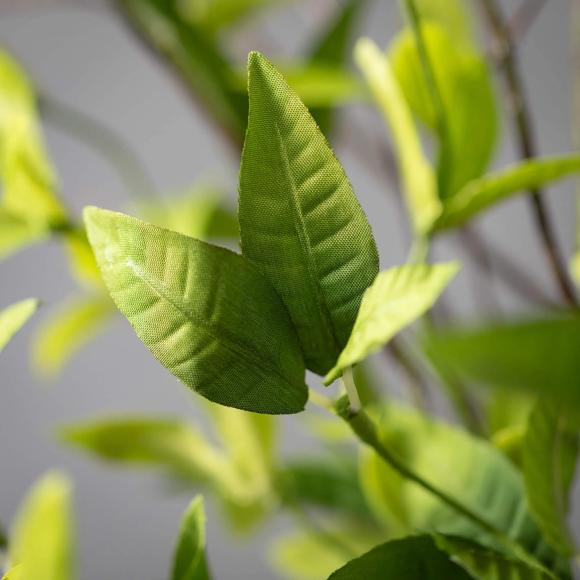 Ruscus & Twig Wreath - Image 3