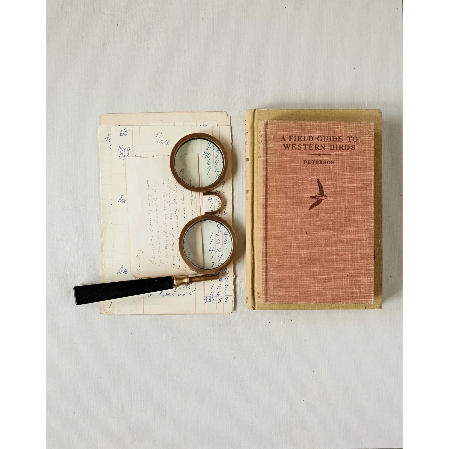 Spectacle Magnifying Glass - Image 9