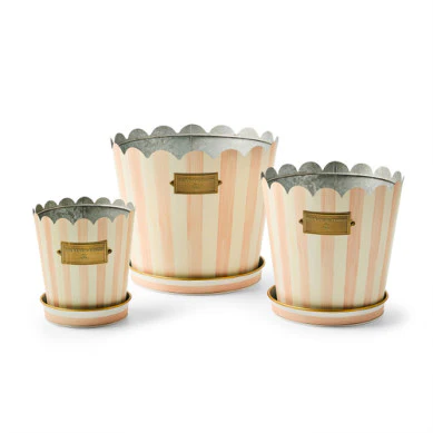 Stripe Pot & Saucer - Sold Individually - Image 10