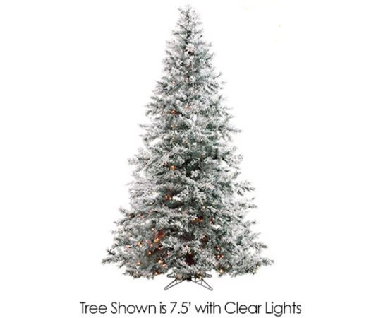 Tree With Clear Lights