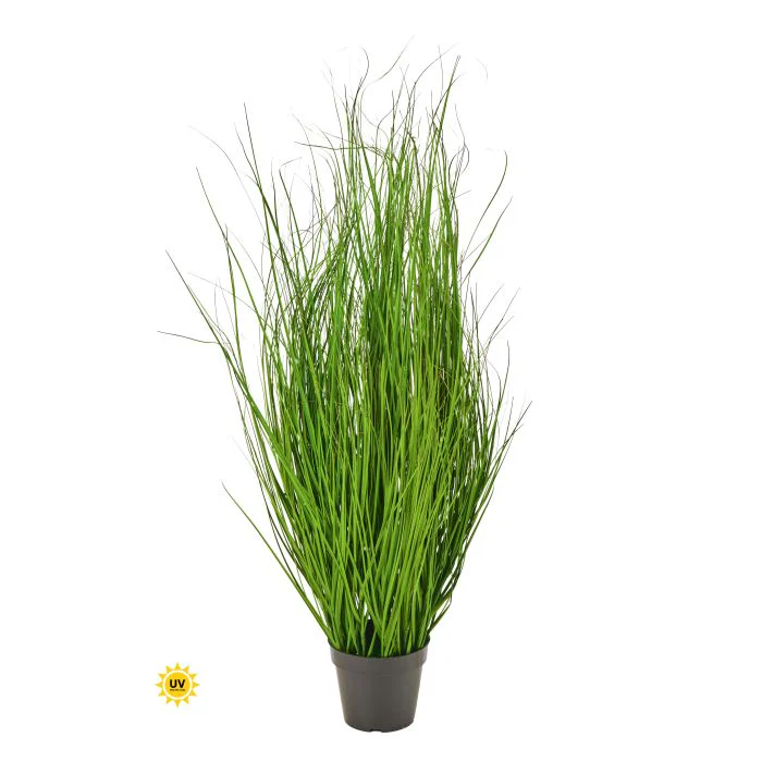 Uv Ptd Fountain Grass - Image 2
