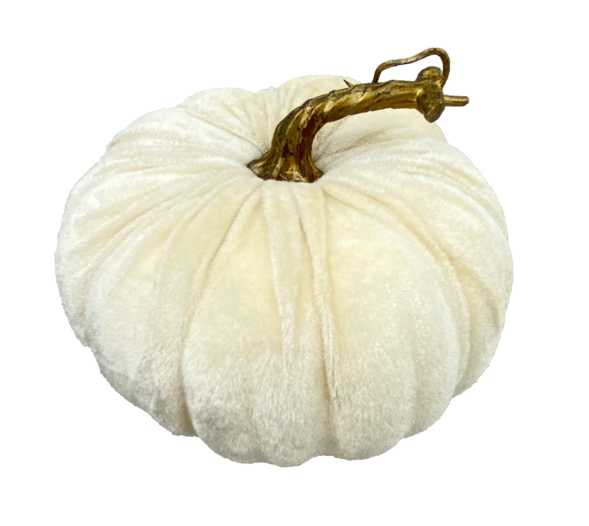 Velvet Pumpkin - Image 2