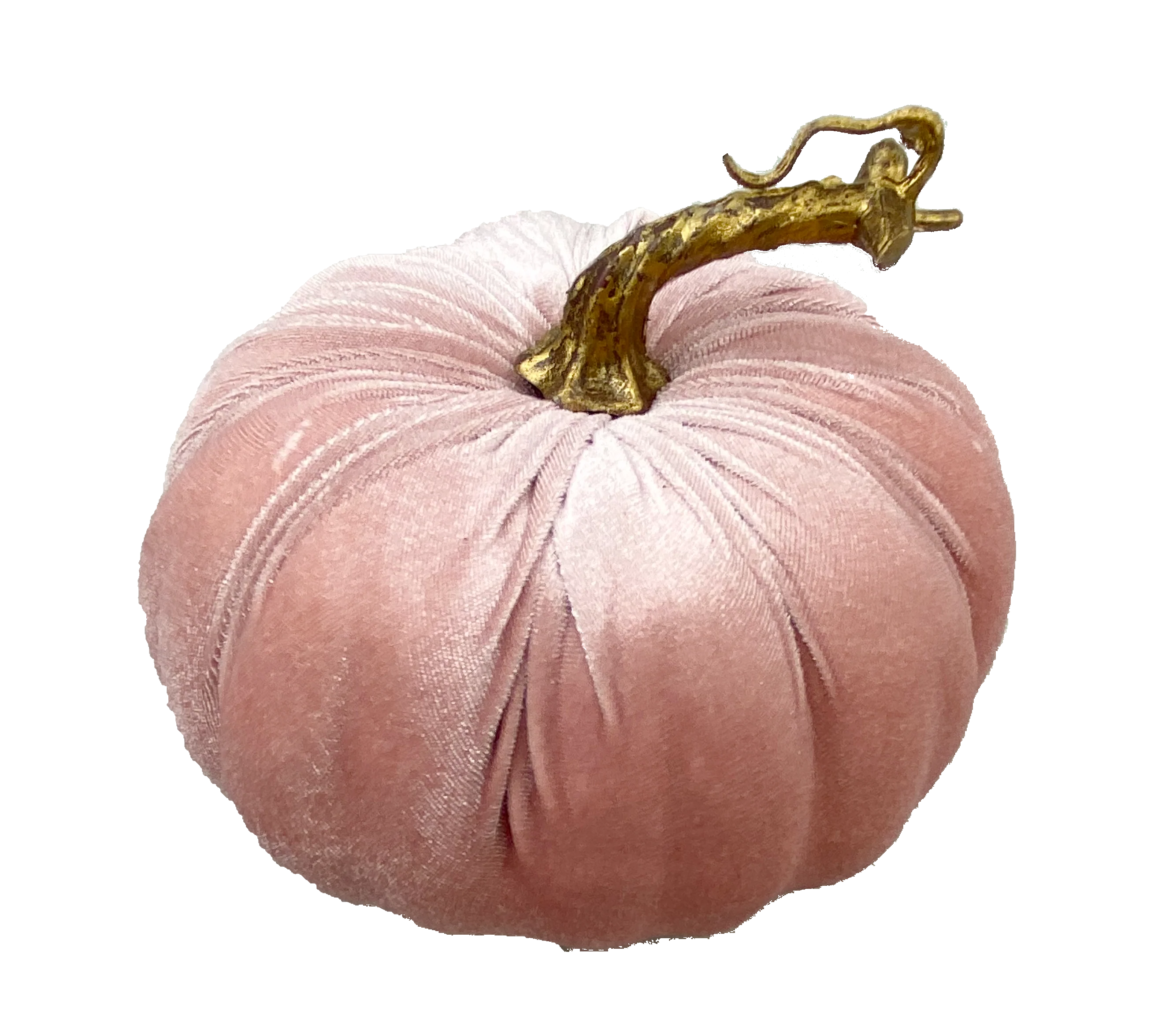 Velvet Pumpkin - Image 3