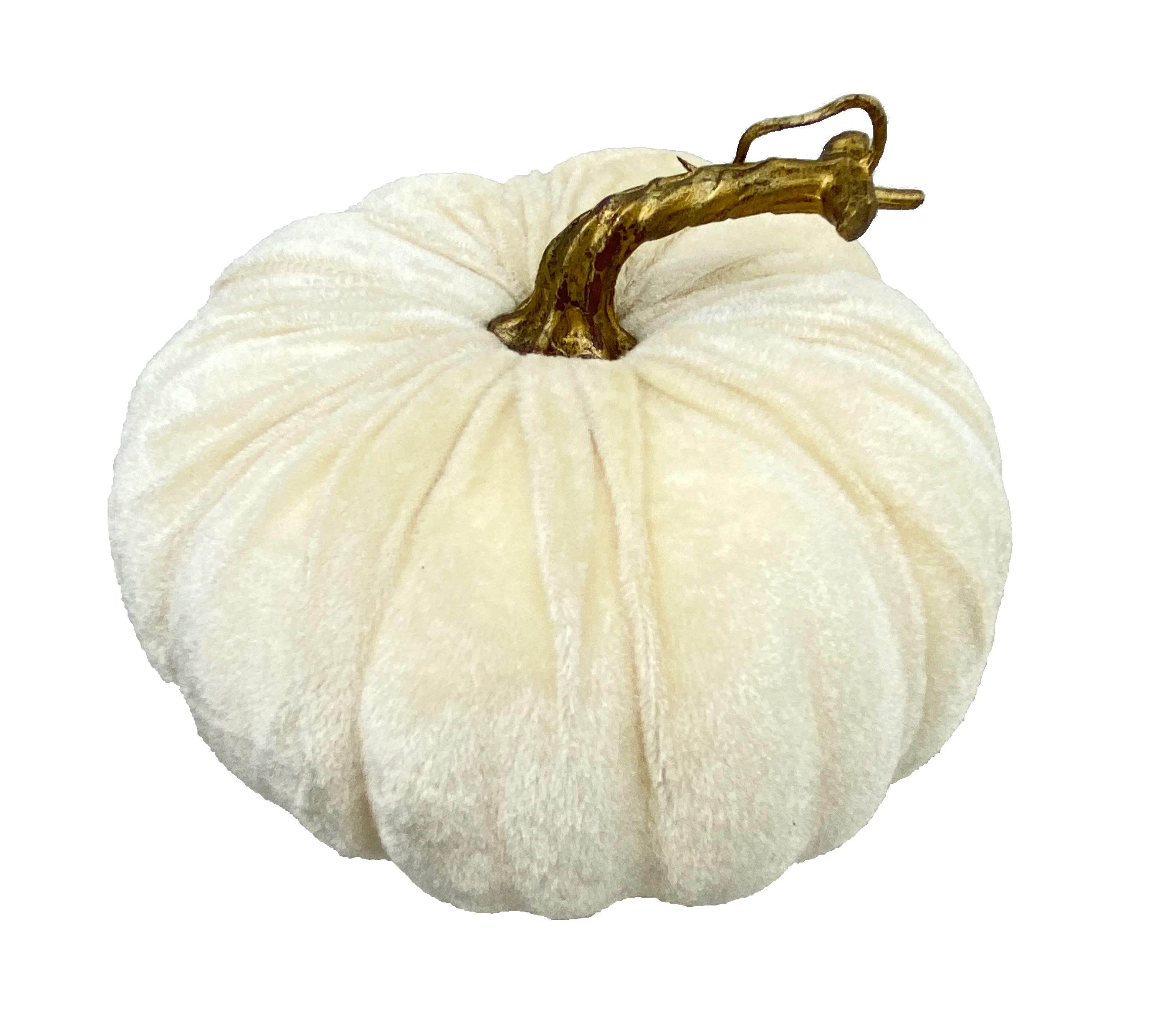 Velvet Pumpkin - Image 7
