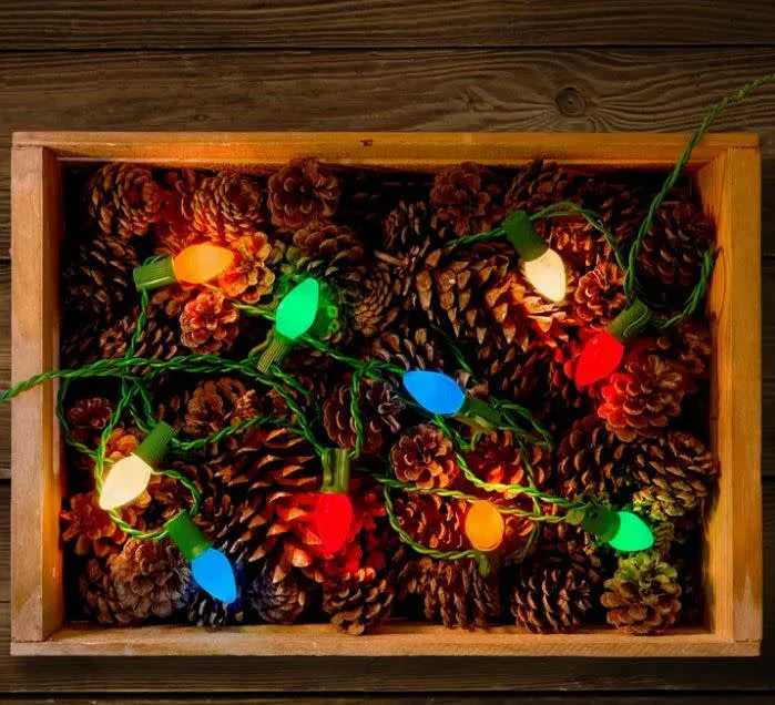 Vintage Style LED Christmas Lights - C7 25-Light Set Classicolor - Image 2