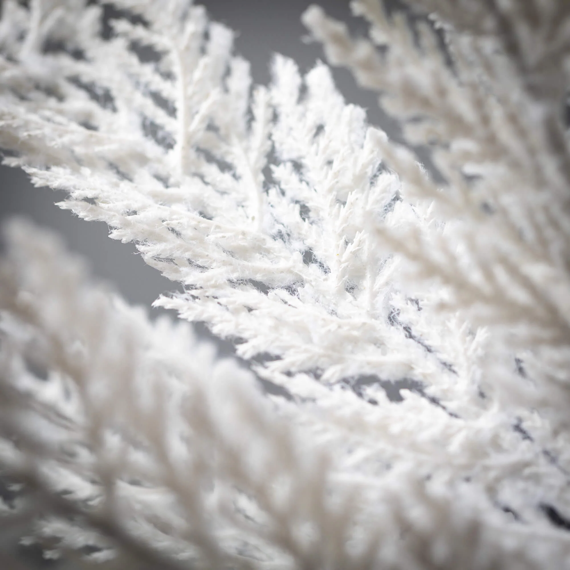 White Cypress Spray - Image 5