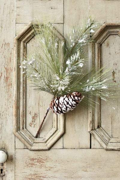 Wish & Wonder Pine Spray
