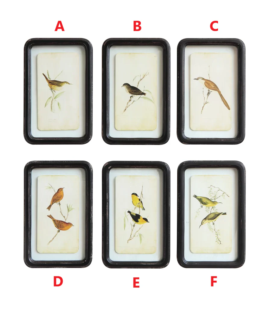 Wood Wall Décor with Floating Bird