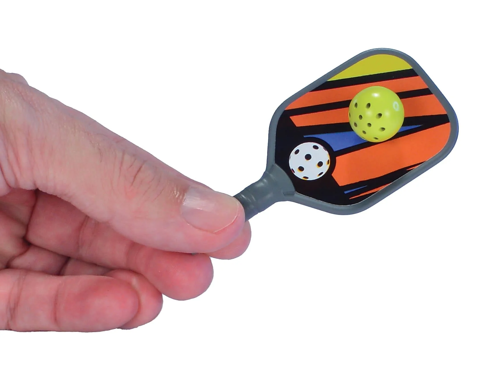 World's Smallest Pickleball - Image 3